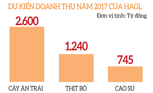 Đổ nghìn tỉ trồng cây ăn trái, các “ông lớn” đang toan tính gì? hình ảnh 2 do nghin ti trong cay an trai, cac “ong lon” dang toan tinh gi? hinh anh 2